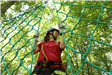 TreeTop Quest Participant