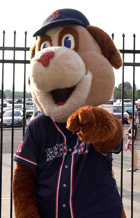 Mugsy, Mascot for the Salem Red Sox