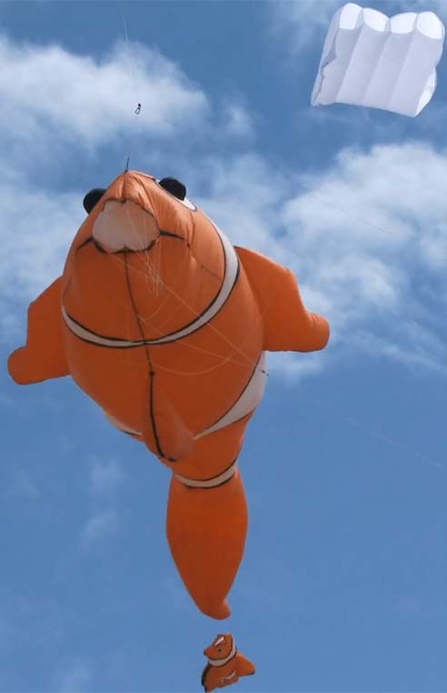 Kites flying in the air